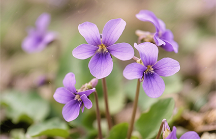 摄影入门基础知识你知道吗？沈阳摄影学校