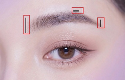 沈阳化妆学校：新手画眉教程详解